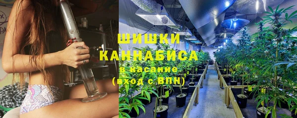 apvp Аркадак