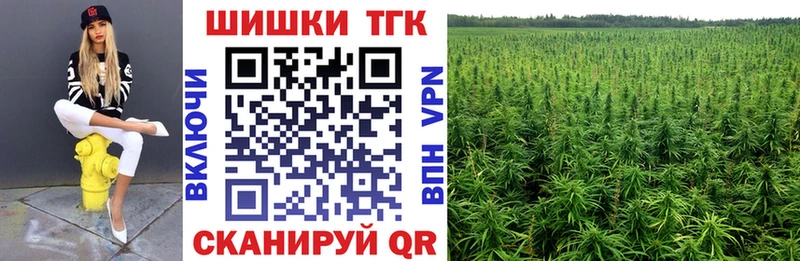 Каннабис семена Томмот